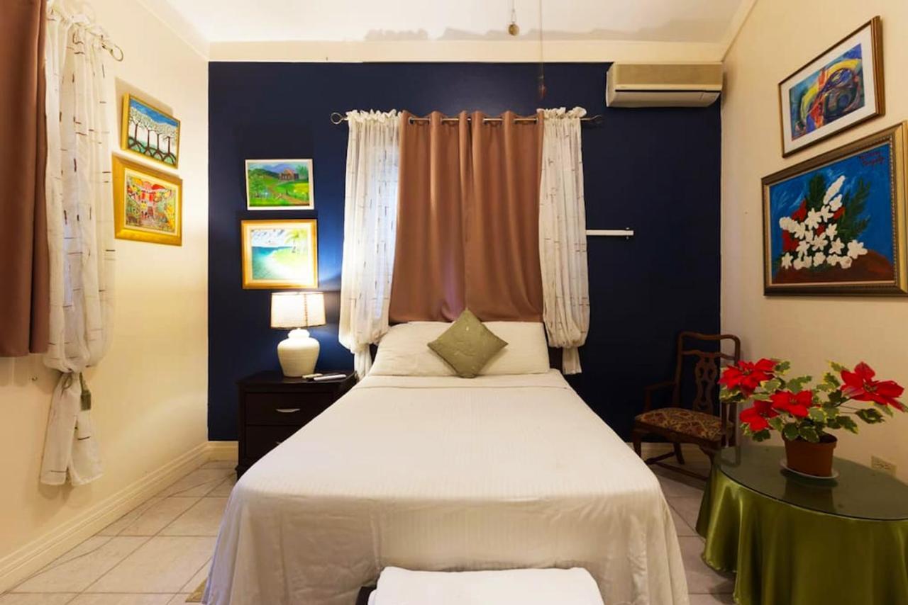 Chester Avenue Guest House Kingston Extérieur photo